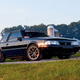 Illustration for article titled Epic Build Threads: A Wolf in a Horses Body - 89 Mustang LX
